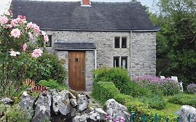 Ivy Cottage